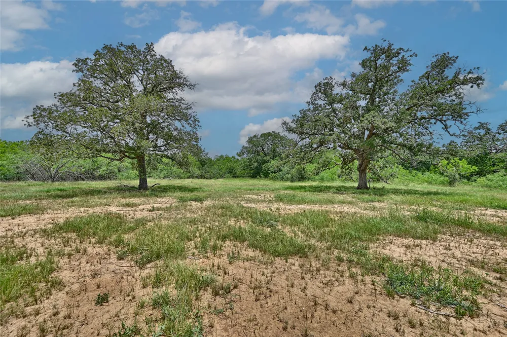 159 Starlight Path Red Rock, TX 78662