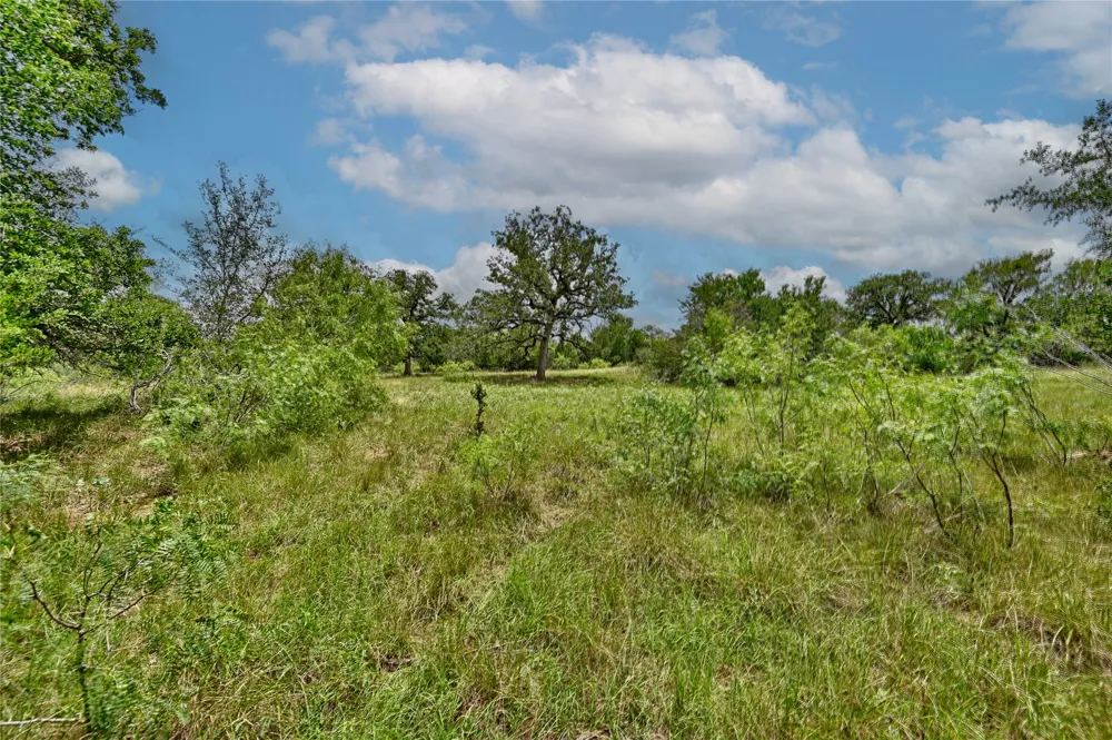 159 Starlight Path Red Rock, TX 78662