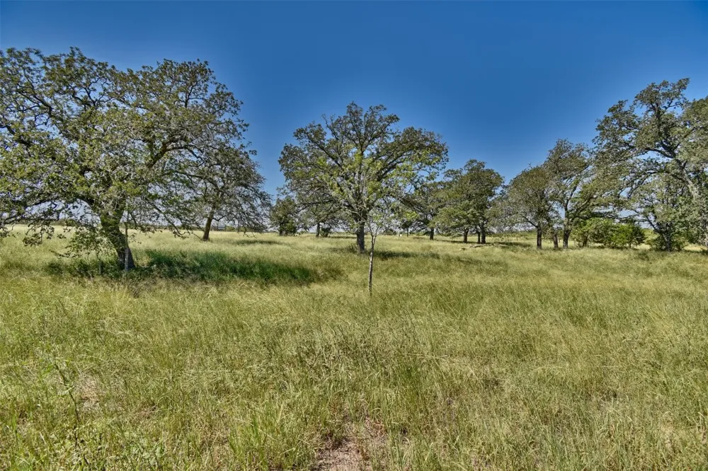 106 Sunny Day Dr Red Rock, TX 78662