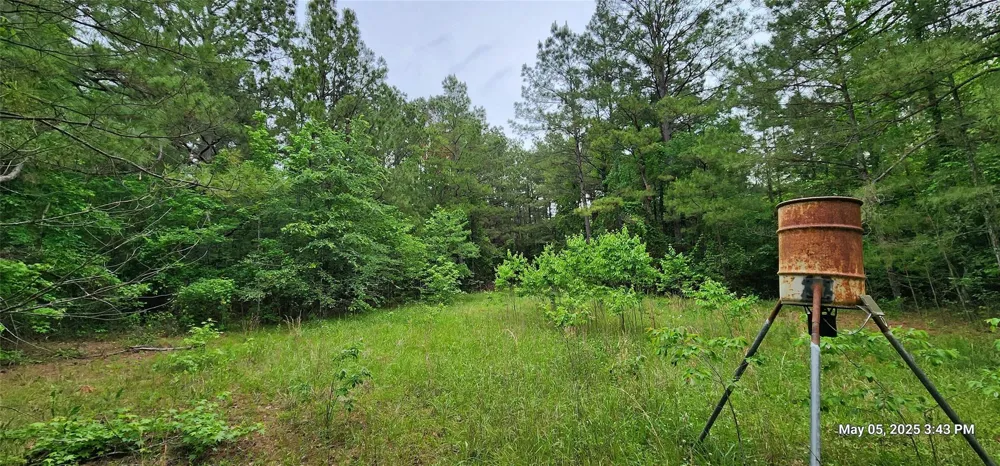 108 East Side County Road 3230 Clarksville, TX 75426
