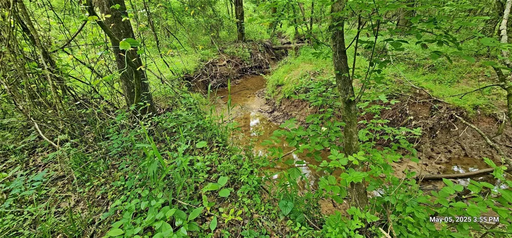 108 East Side County Road 3230 Clarksville, TX 75426