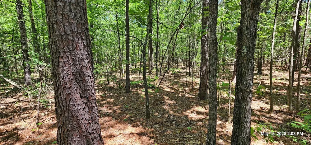 108 East Side County Road 3230 Clarksville, TX 75426