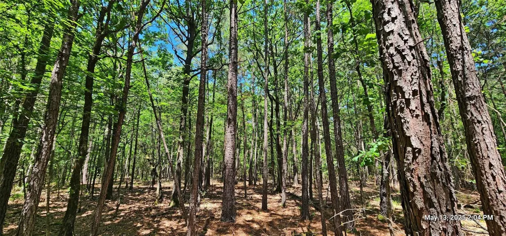 108 East Side County Road 3230 Clarksville, TX 75426