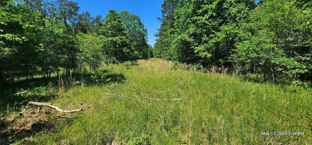 108 East Side County Road 3230 Clarksville, TX 75426