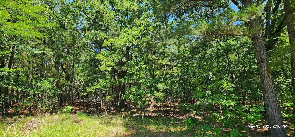 108 East Side County Road 3230 Clarksville, TX 75426