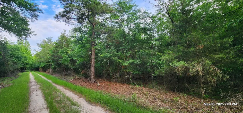 108 East Side County Road 3230 Clarksville, TX 75426