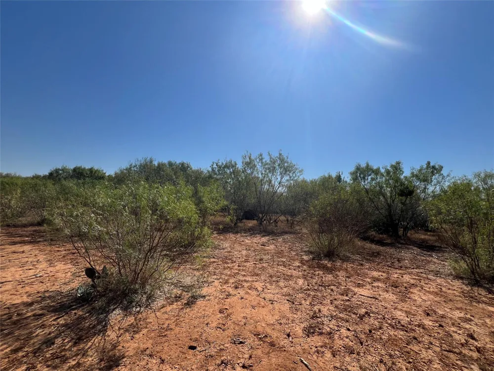100 Hwy 97 J 243 Tract 1 Jourdanton, TX 78026