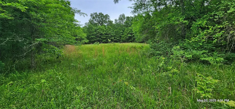 91 Southeast Side County Road 3230 Clarksville, TX 75426