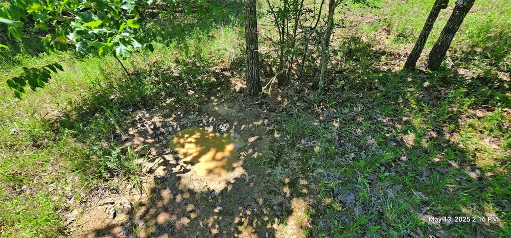 91 Southeast Side County Road 3230 Clarksville, TX 75426