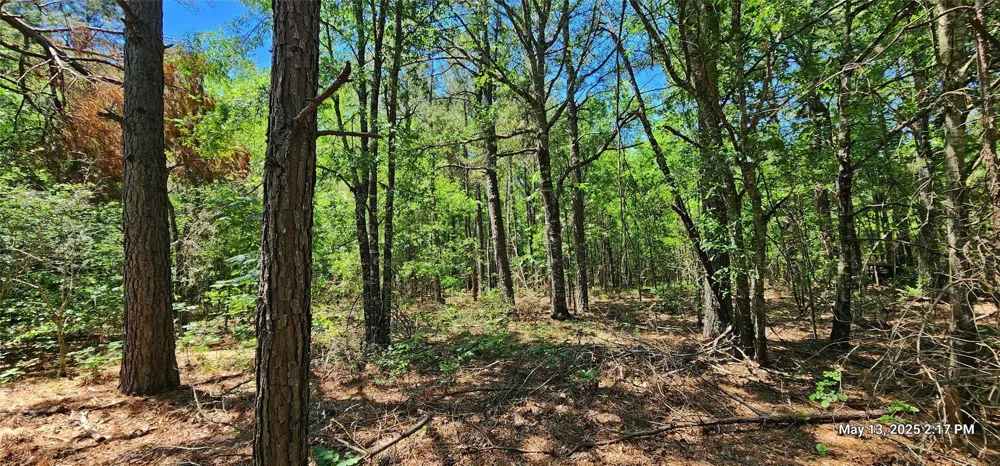 91 Southeast Side County Road 3230 Clarksville, TX 75426