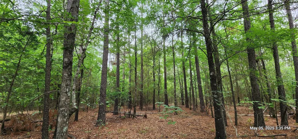 91 Southeast Side County Road 3230 Clarksville, TX 75426