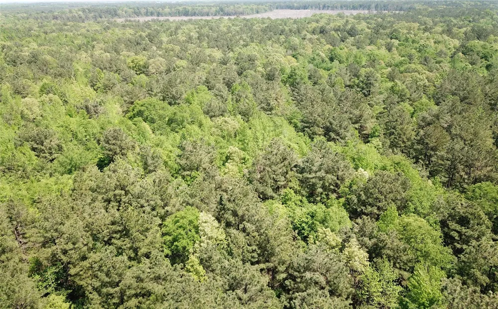 91 Southeast Side County Road 3230 Clarksville, TX 75426