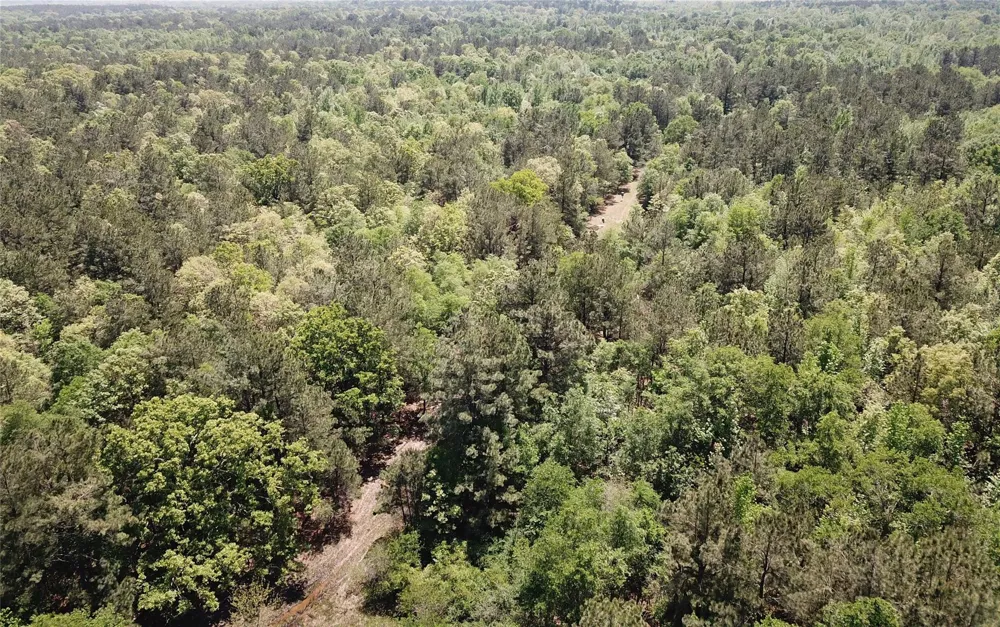 91 Southeast Side County Road 3230 Clarksville, TX 75426