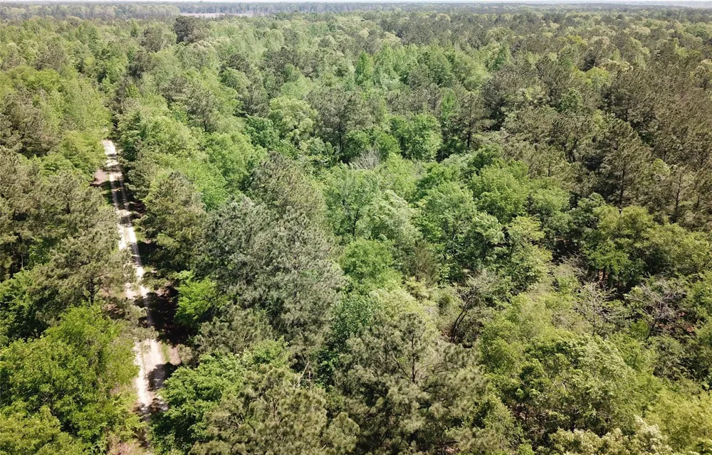 91 Southeast Side County Road 3230 Clarksville, TX 75426