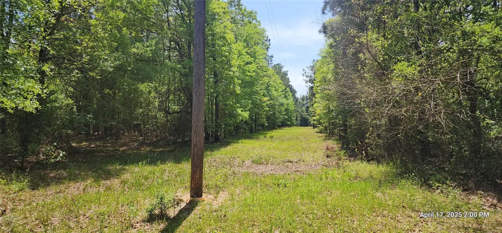 91 Southeast Side County Road 3230 Clarksville, TX 75426