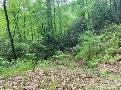 Lot 10 Mystic Forest Way