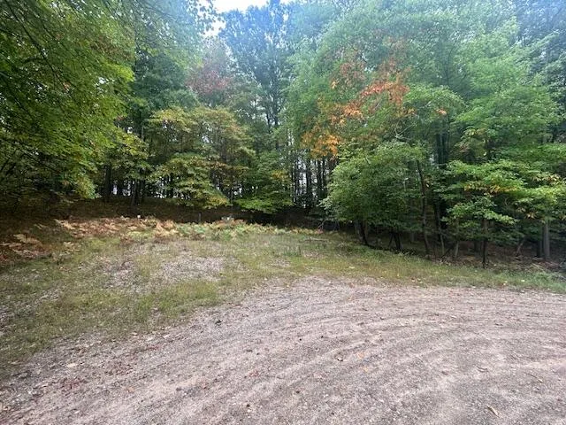 11269 Apache Wells Court #611 Canadian Lakes, MI 49346