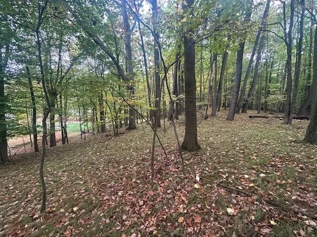 11269 Apache Wells Court #611 Canadian Lakes, MI 49346