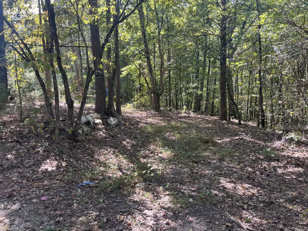 2950 Davis Road Rocky Face, GA 30740