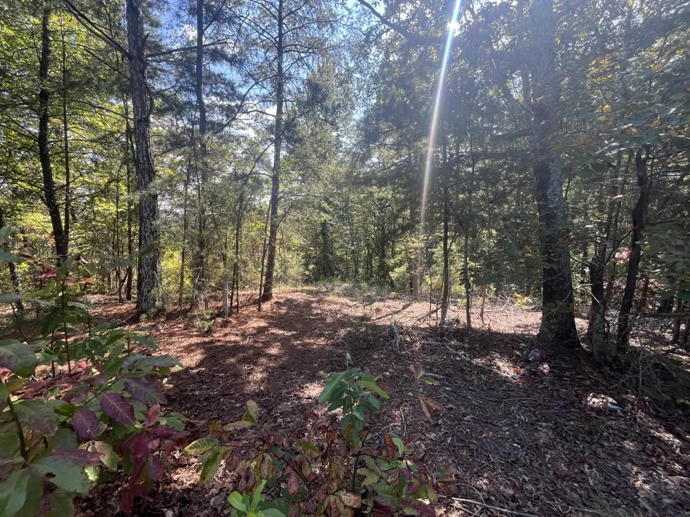2950 Davis Road Rocky Face, GA 30740