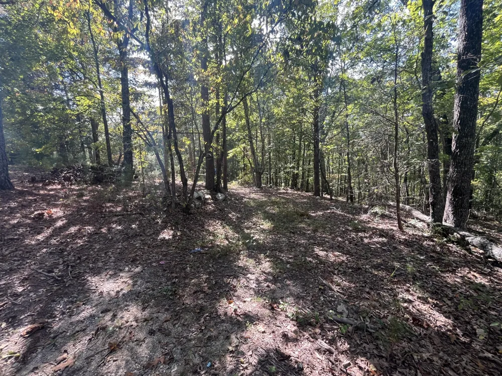 2950 Davis Road Rocky Face, GA 30740