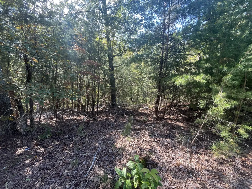 2950 Davis Road Rocky Face, GA 30740