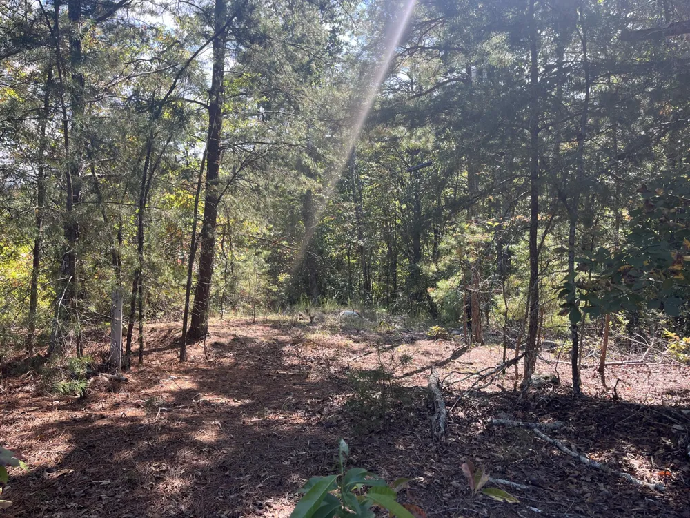 2950 Davis Road Rocky Face, GA 30740