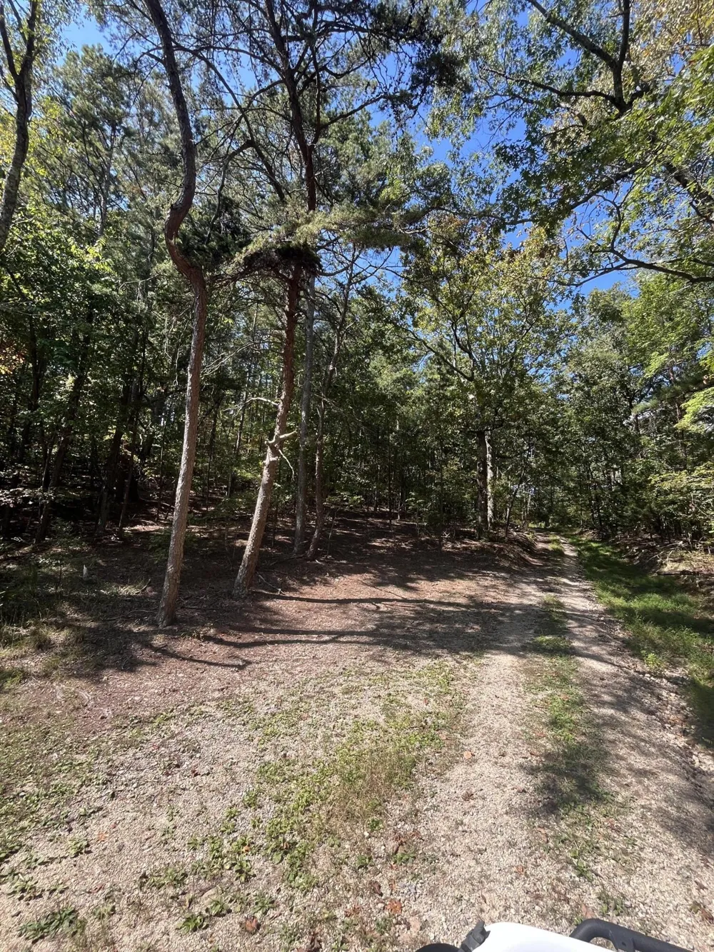 2950 Davis Road Rocky Face, GA 30740