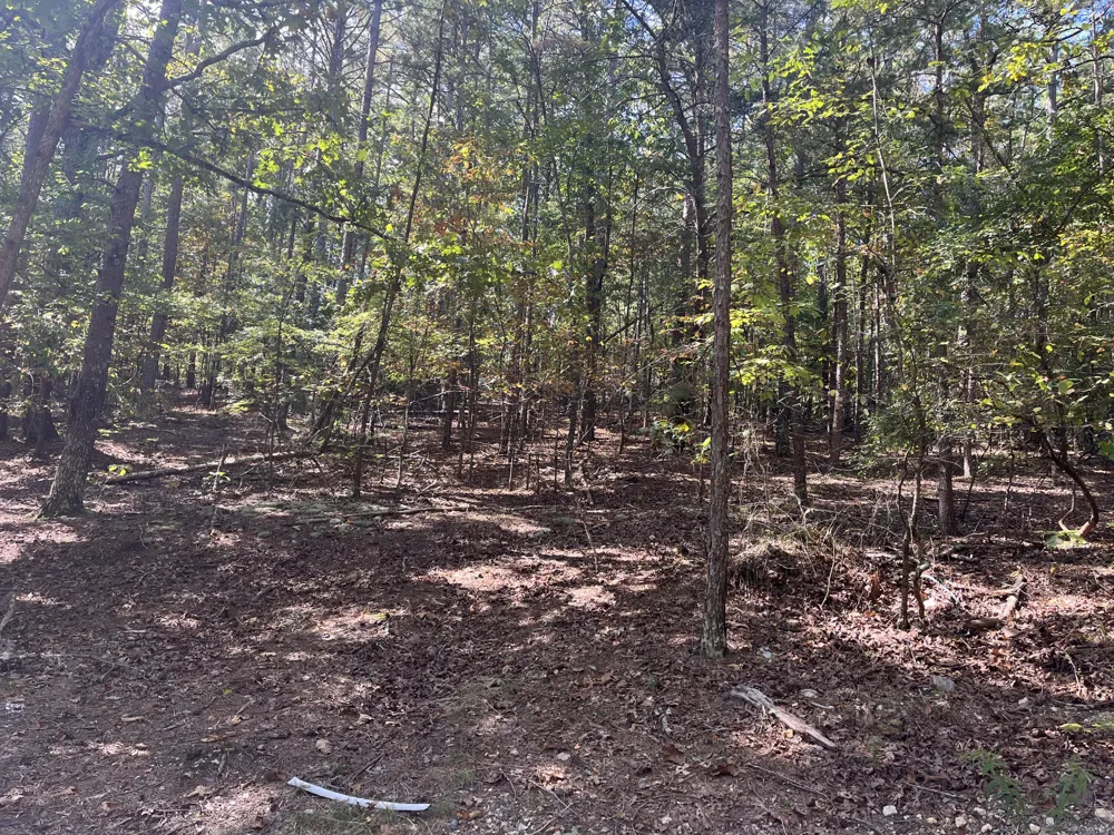 2950 Davis Road Rocky Face, GA 30740