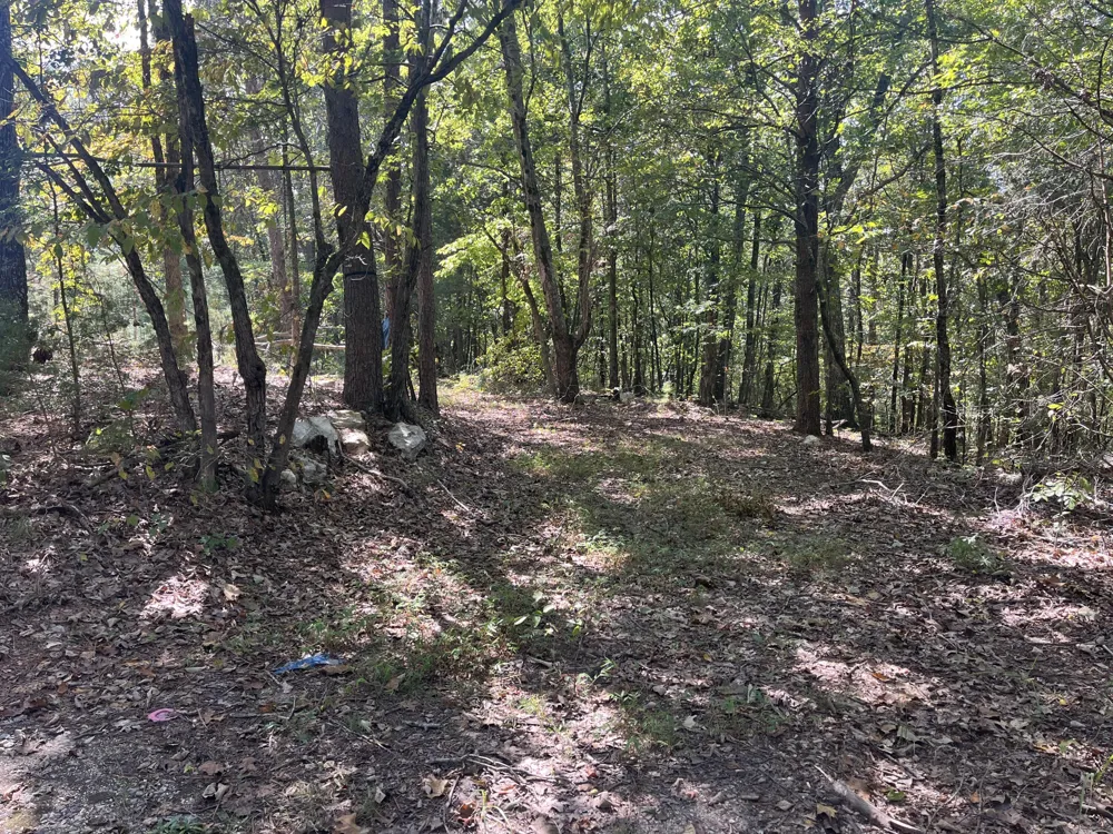 2950 Davis Road Rocky Face, GA 30740
