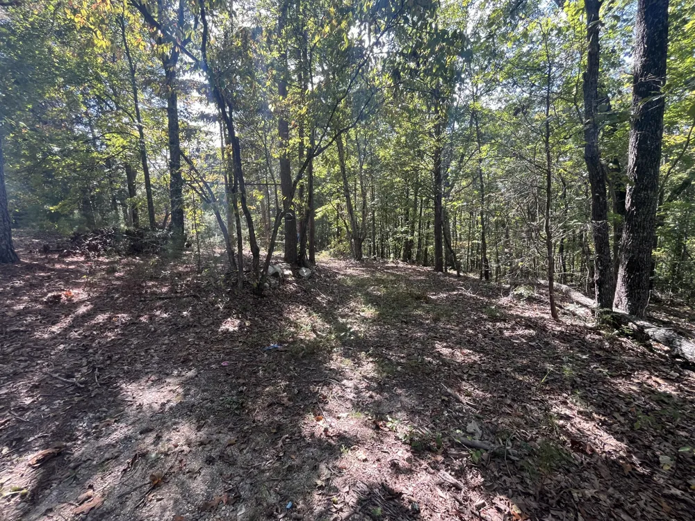 2950 Davis Road Rocky Face, GA 30740