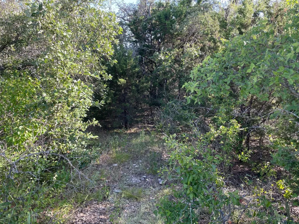 Oakcrest Drive Ranger, TX 76470