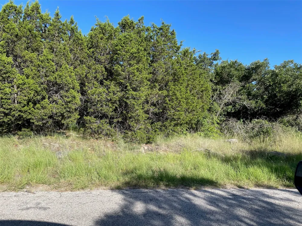 Oakcrest Drive Ranger, TX 76470