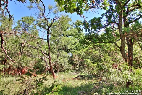 LOT 6 RR 1323