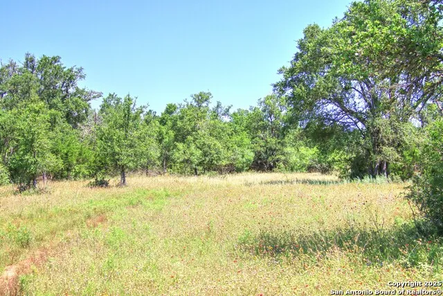 LOT 6 RR 1323 Willow City, TX 78675