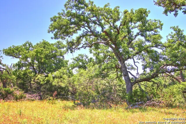 LOT 6 RR 1323 Willow City, TX 78675