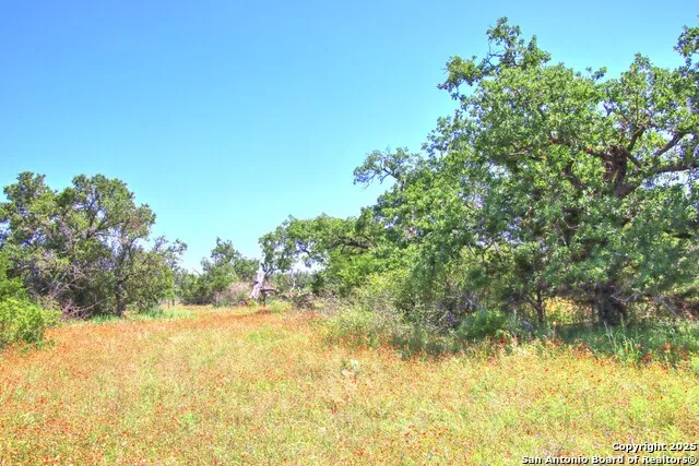 LOT 6 RR 1323 Willow City, TX 78675