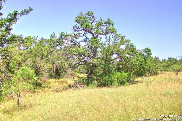 LOT 6 RR 1323 Willow City, TX 78675