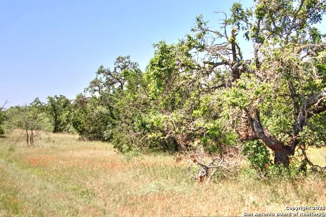 LOT 6 RR 1323 Willow City, TX 78675