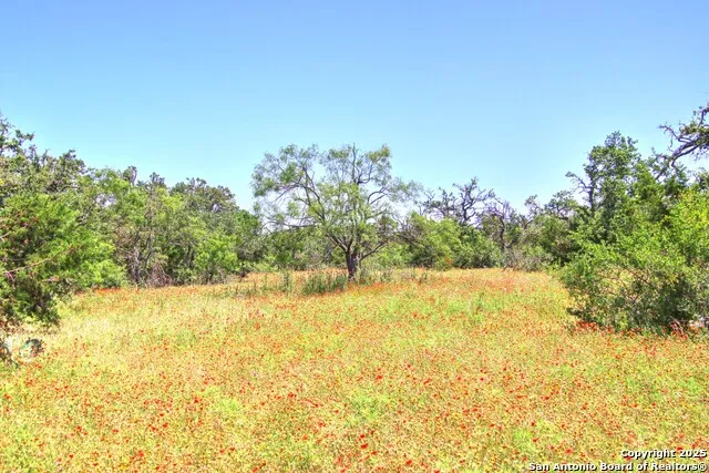 LOT 6 RR 1323 Willow City, TX 78675