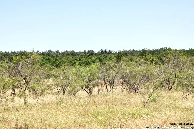 LOT 6 RR 1323 Willow City, TX 78675