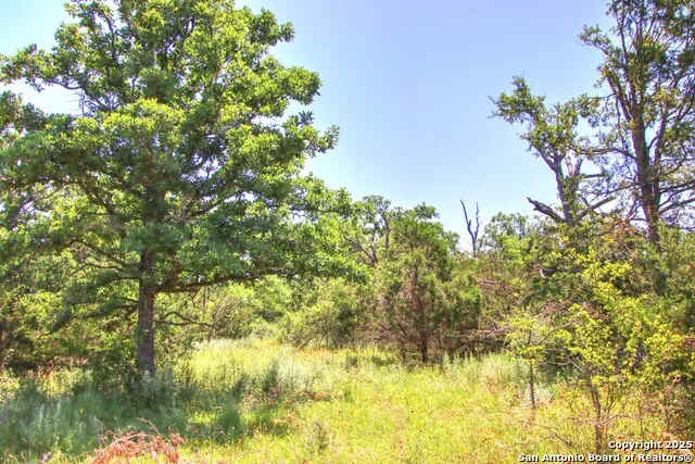 LOT 6 RR 1323 Willow City, TX 78675
