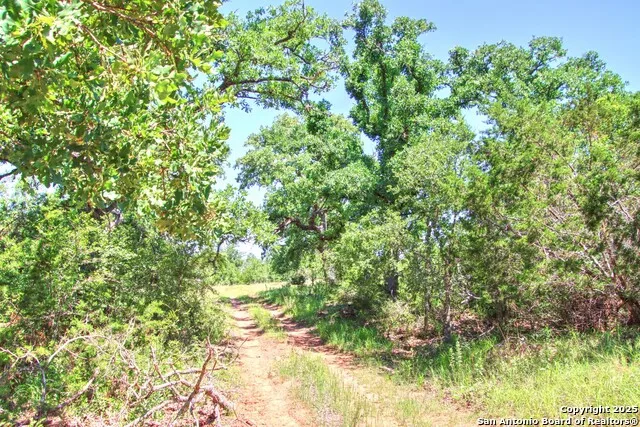 LOT 6 RR 1323 Willow City, TX 78675