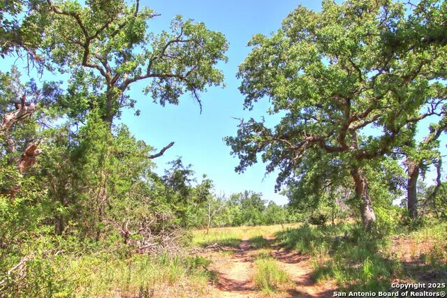 LOT 6 RR 1323 Willow City, TX 78675