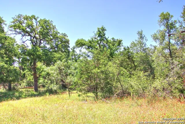 LOT 6 RR 1323 Willow City, TX 78675