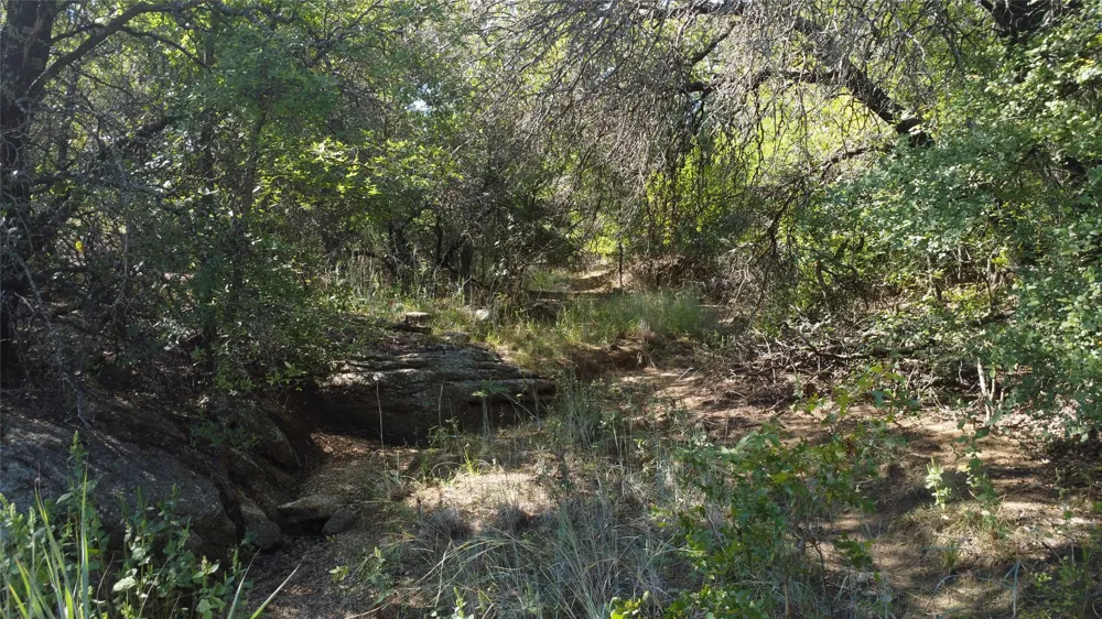 1685 Rocky Mound Road Graham, TX 76450