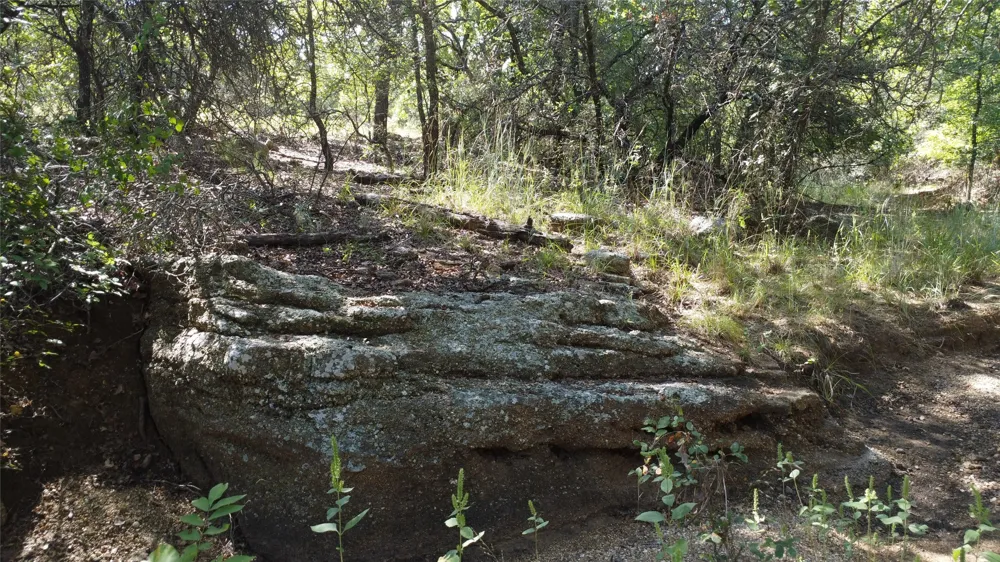 1685 Rocky Mound Road Graham, TX 76450