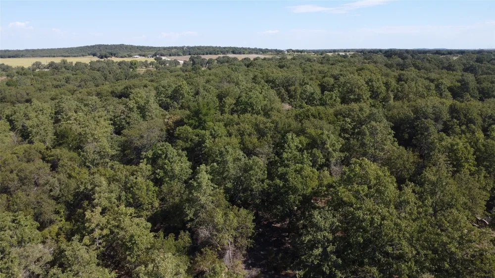 1685 Rocky Mound Road Graham, TX 76450