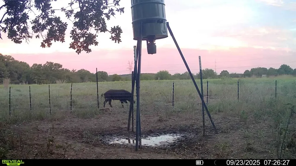 1685 Rocky Mound Road Graham, TX 76450