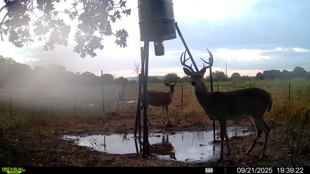 1685 Rocky Mound Road Graham, TX 76450